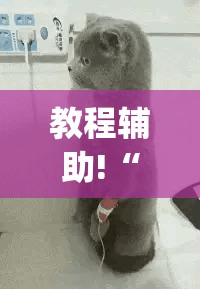 教程辅助!“微信打大a万能开挂神器	”(辅助神器)开挂详细教程