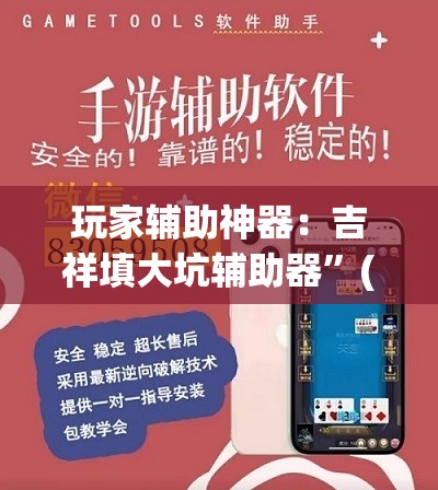 玩家辅助神器：吉祥填大坑辅助器”(透视)其实确实有挂