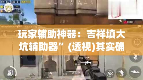 玩家辅助神器：吉祥填大坑辅助器”(透视)其实确实有挂