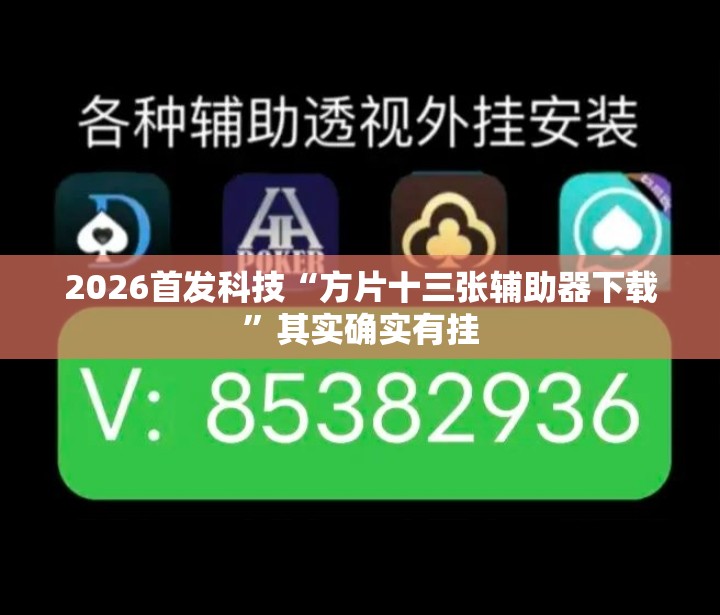 2026首发科技“方片十三张辅助器下载	”其实确实有挂
