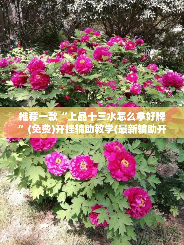 推荐一款“上品十三水怎么拿好牌”(免费)开挂辅助教学(最新辅助开挂教程)