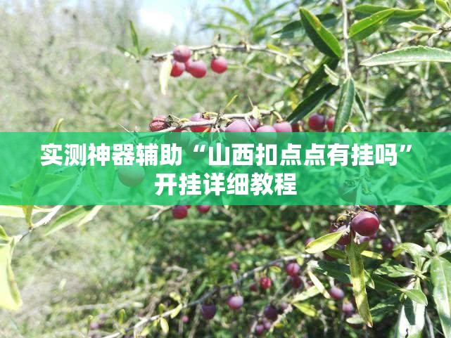 实测神器辅助“山西扣点点有挂吗”开挂详细教程