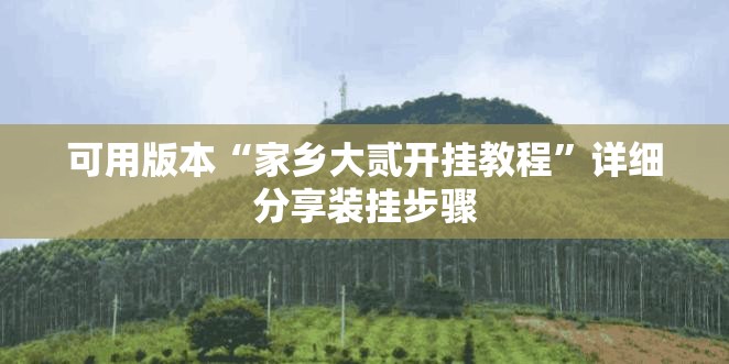 可用版本“家乡大贰开挂教程”详细分享装挂步骤