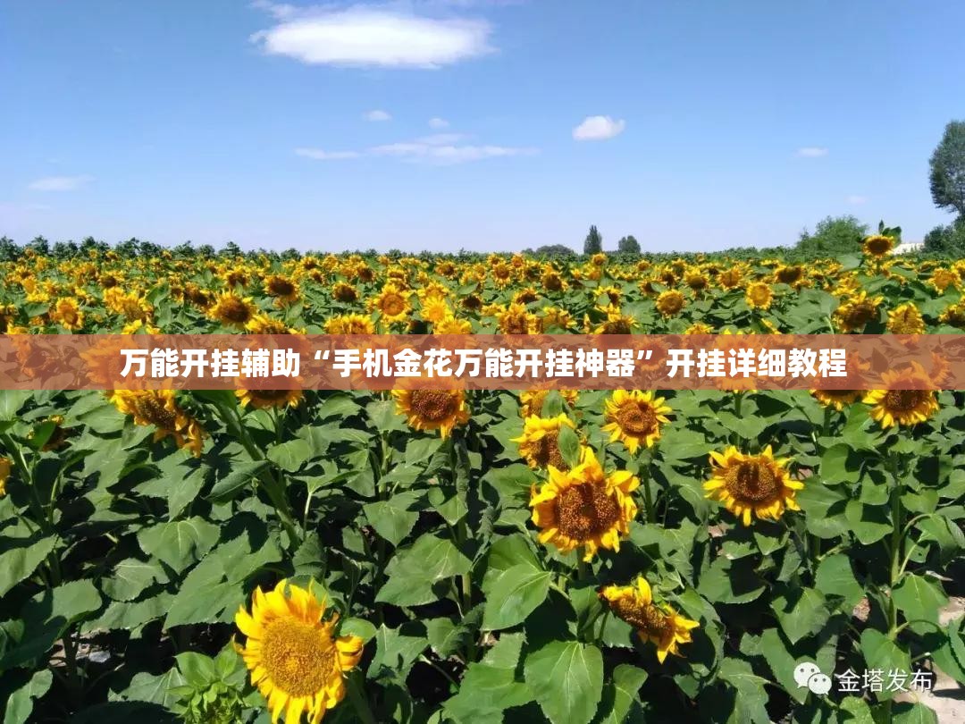 万能开挂辅助“手机金花万能开挂神器	”开挂详细教程