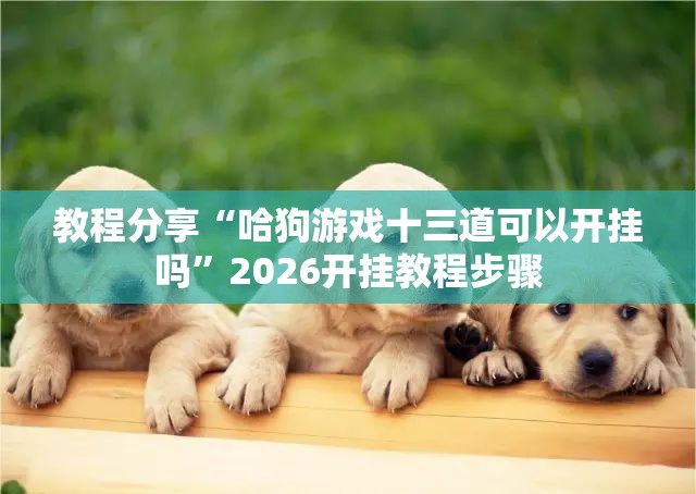 教程分享“哈狗游戏十三道可以开挂吗”2026开挂教程步骤