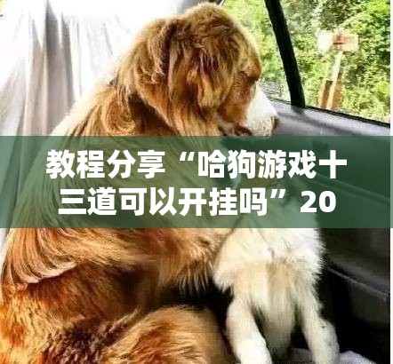 教程分享“哈狗游戏十三道可以开挂吗”2026开挂教程步骤