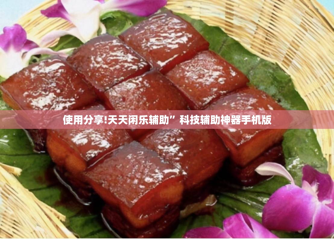 使用分享!天天闲乐辅助	”科技辅助神器手机版