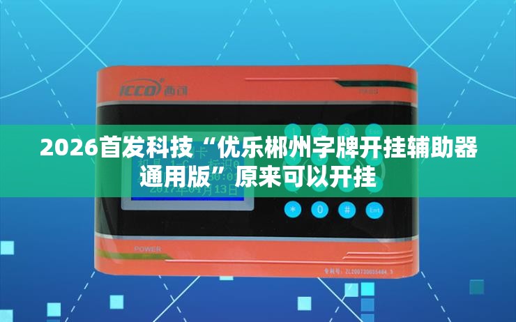 2026首发科技“优乐郴州字牌开挂辅助器通用版”原来可以开挂