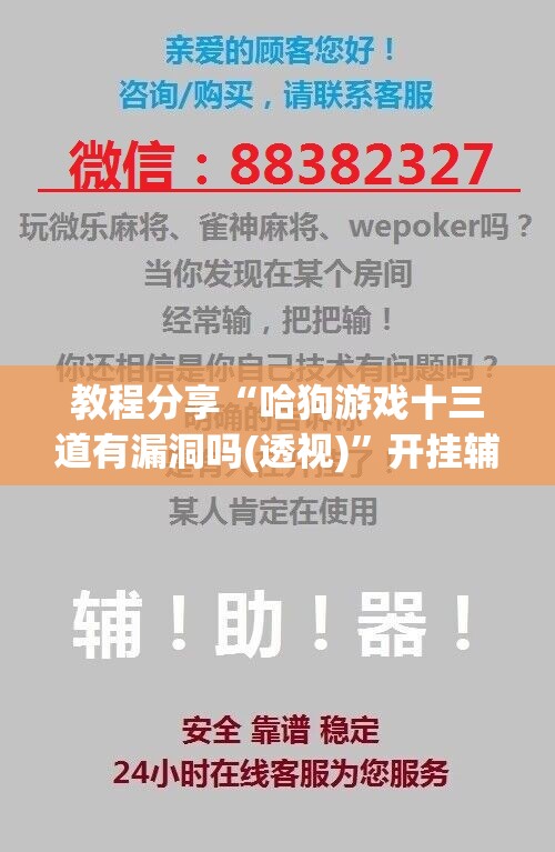 教程分享“哈狗游戏十三道有漏洞吗(透视)”开挂辅助脚本+详细开挂安装教程