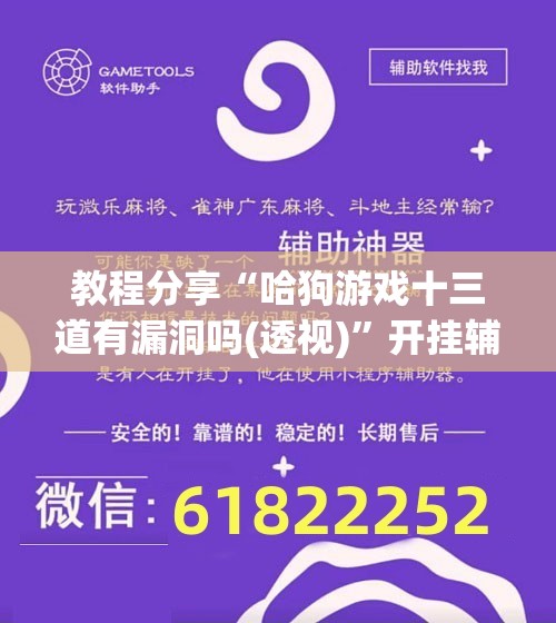 教程分享“哈狗游戏十三道有漏洞吗(透视)	”开挂辅助脚本+详细开挂安装教程