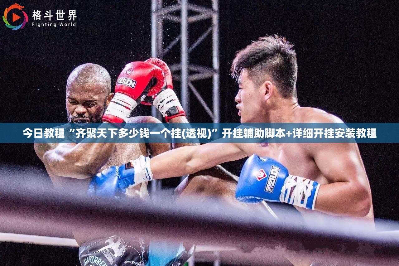 今日教程“齐聚天下多少钱一个挂(透视)”开挂辅助脚本+详细开挂安装教程