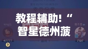教程辅助!“智星德州菠萝插件教程	”详细开挂教程