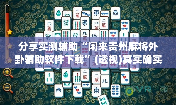 分享实测辅助“闲来贵州麻将外卦辅助软件下载”(透视)其实确实有挂