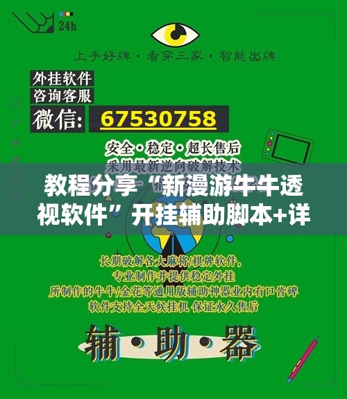 教程分享“新漫游牛牛透视软件”开挂辅助脚本+详细开挂安装教程