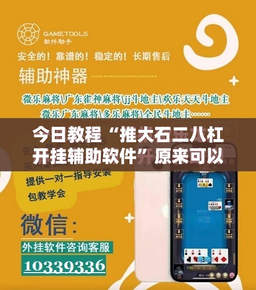 今日教程“推大石二八杠开挂辅助软件	”原来可以开挂