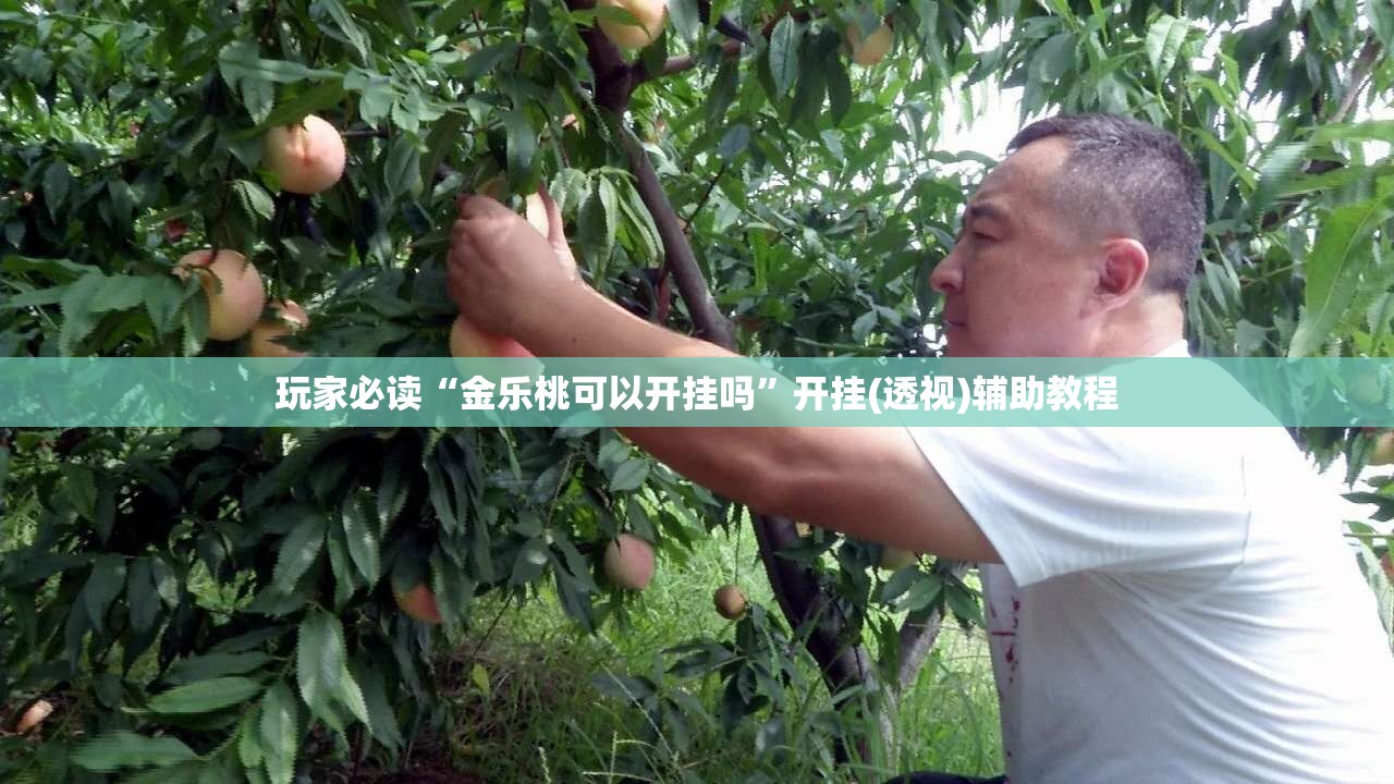 玩家必读“金乐桃可以开挂吗	”开挂(透视)辅助教程