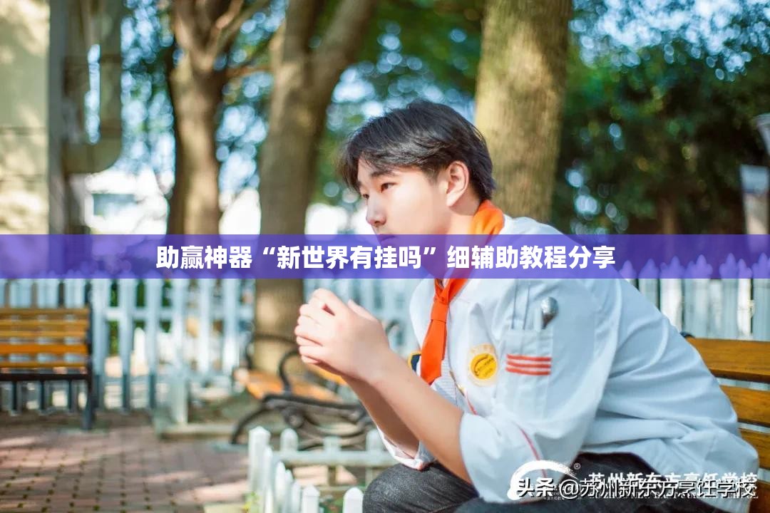 助赢神器“新世界有挂吗”细辅助教程分享
