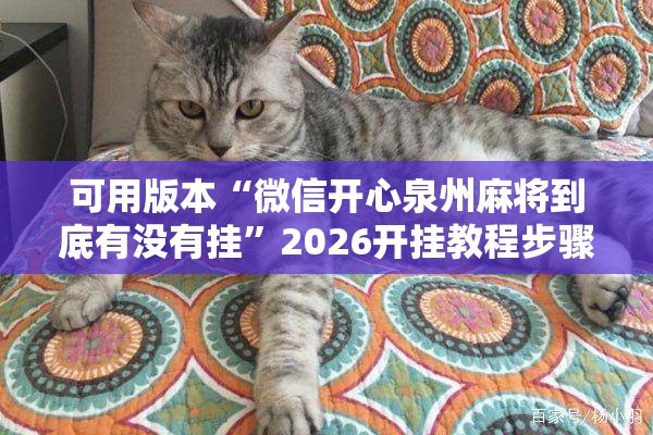 可用版本“微信开心泉州麻将到底有没有挂”2026开挂教程步骤