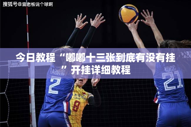 今日教程“嘟嘟十三张到底有没有挂”开挂详细教程
