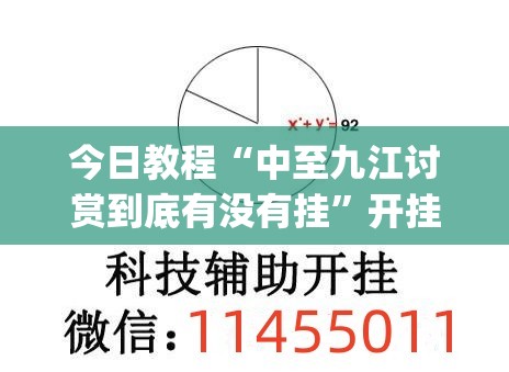 今日教程“中至九江讨赏到底有没有挂”开挂(透视)辅助教程
