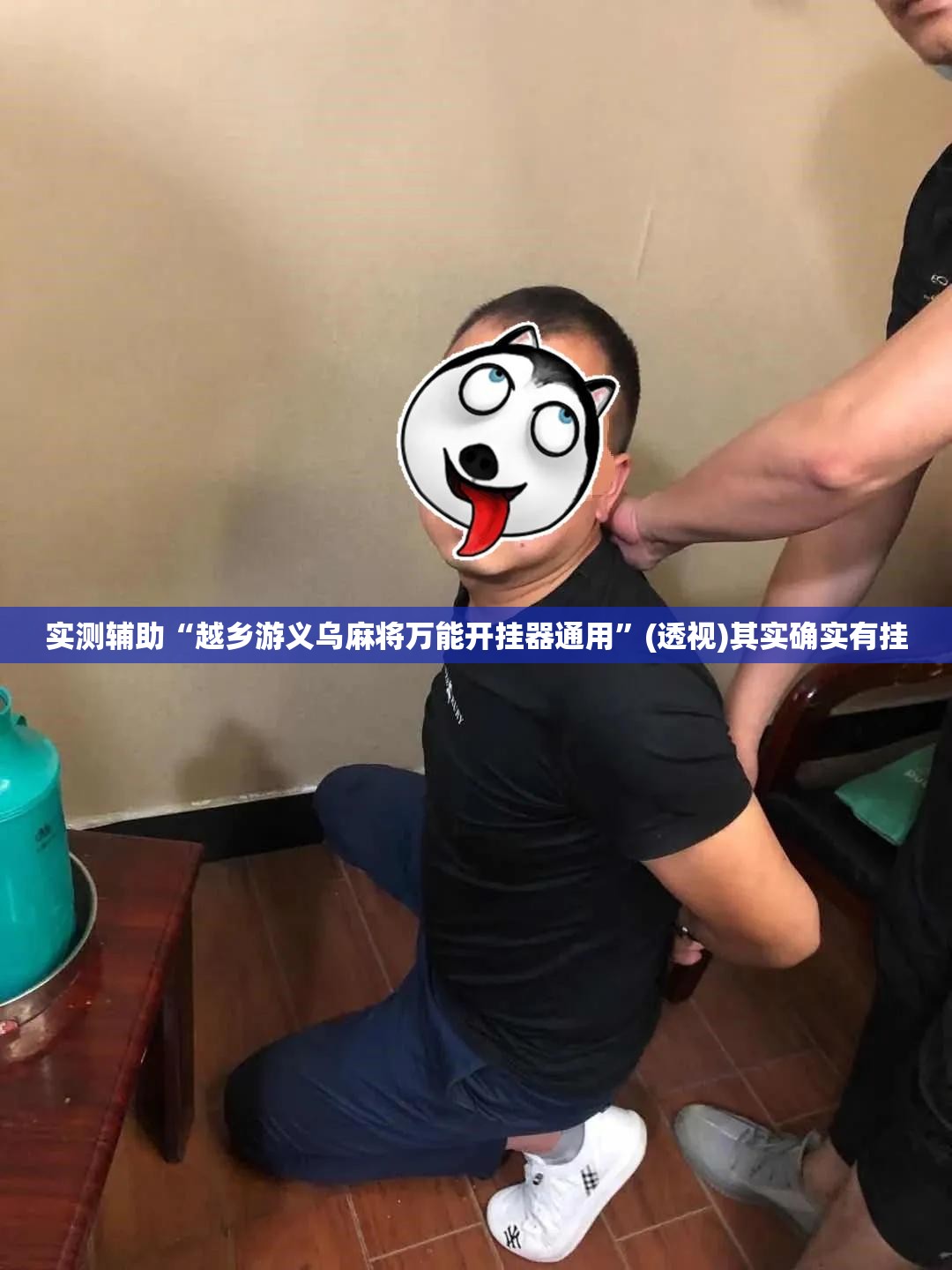 实测辅助“越乡游义乌麻将万能开挂器通用	”(透视)其实确实有挂