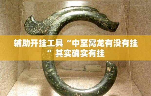 辅助开挂工具“中至窝龙有没有挂”其实确实有挂
