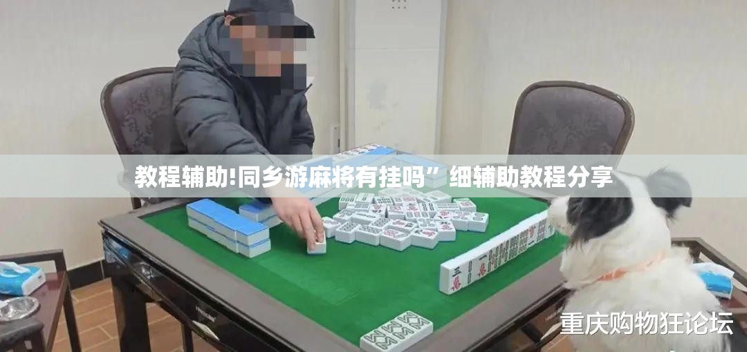 教程辅助!同乡游麻将有挂吗”细辅助教程分享