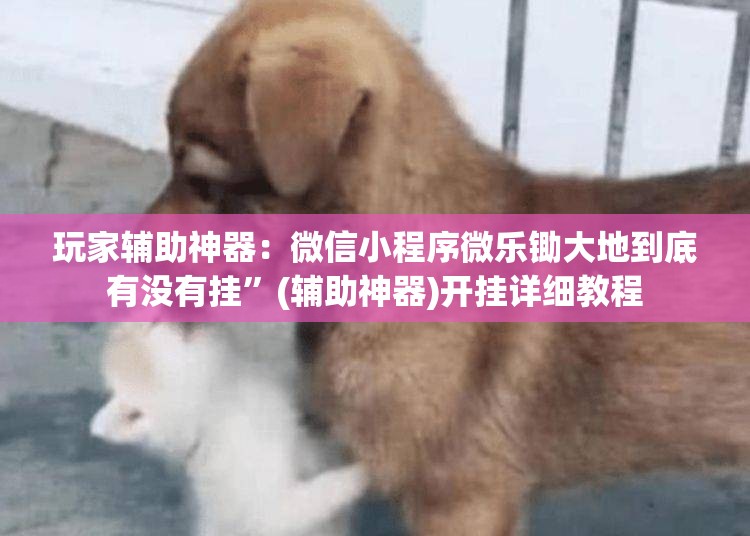 玩家辅助神器：微信小程序微乐锄大地到底有没有挂”(辅助神器)开挂详细教程