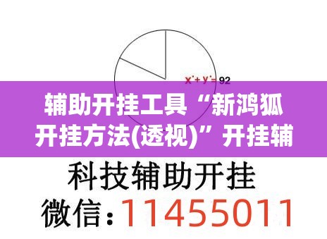 辅助开挂工具“新鸿狐开挂方法(透视)	”开挂辅助脚本+详细开挂安装教程