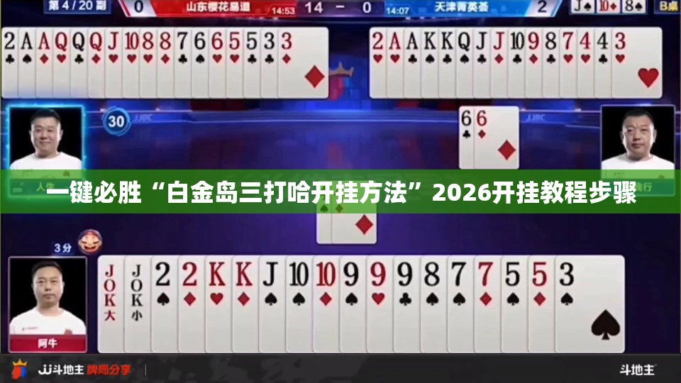 一键必胜“白金岛三打哈开挂方法	”2026开挂教程步骤