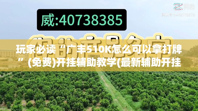玩家必读“广丰510K怎么可以拿打牌”(免费)开挂辅助教学(最新辅助开挂教程)