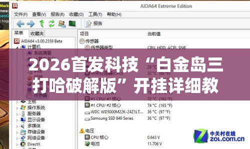 2026首发科技“白金岛三打哈破解版”开挂详细教程