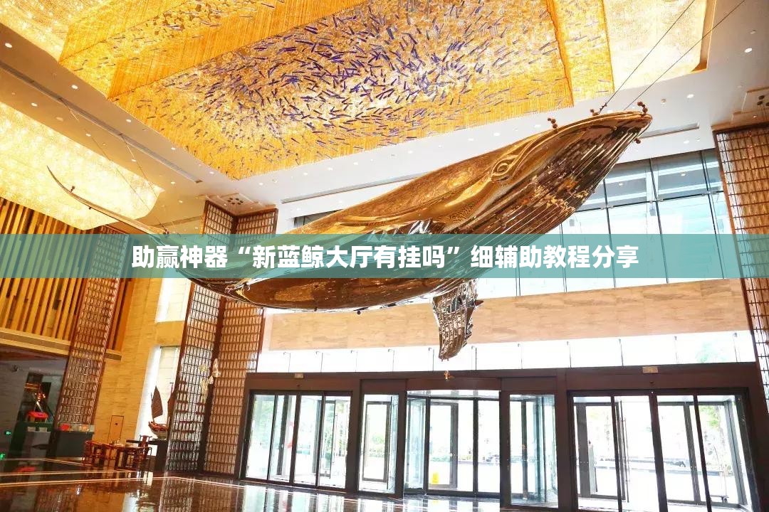 助赢神器“新蓝鲸大厅有挂吗”细辅助教程分享