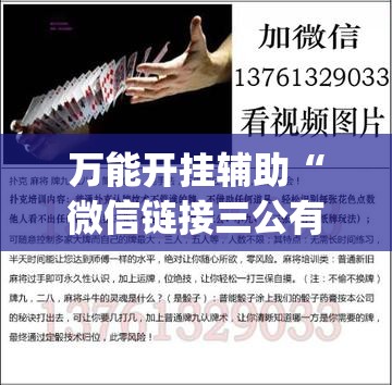 万能开挂辅助“微信链接三公有挂吗	”(透视)其实确实有挂