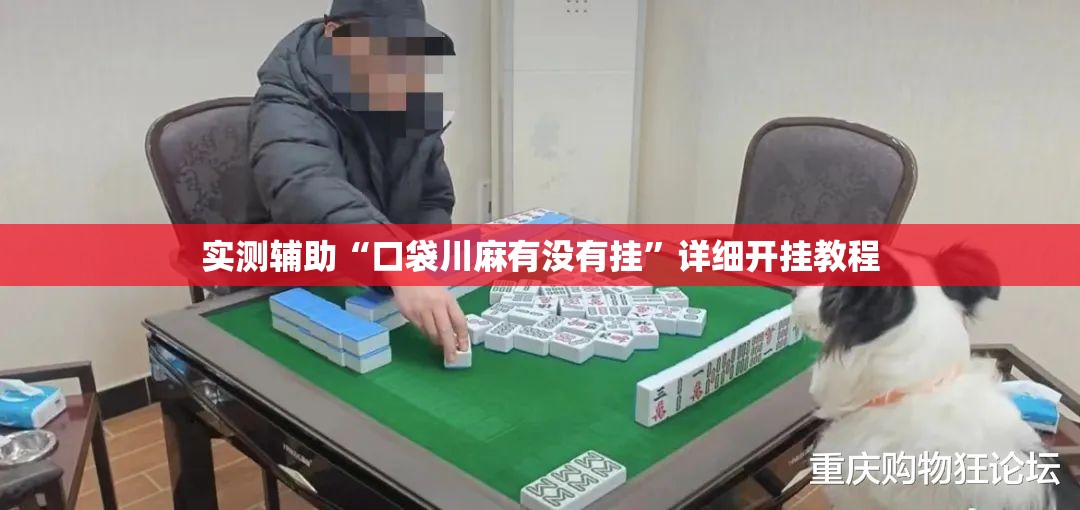 实测辅助“口袋川麻有没有挂”详细开挂教程