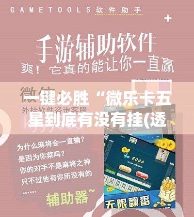 一键必胜“微乐卡五星到底有没有挂(透视)	”开挂辅助脚本+详细开挂安装教程