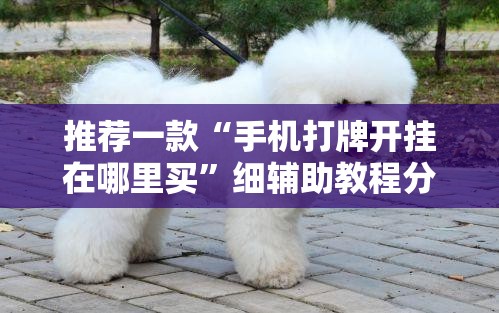 推荐一款“手机打牌开挂在哪里买”细辅助教程分享