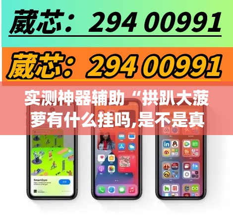 实测神器辅助“拱趴大菠萝有什么挂吗,是不是真的(透视)”开挂辅助脚本+详细开挂安装教程