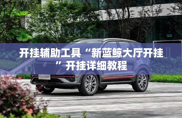 开挂辅助工具“新蓝鲸大厅开挂”开挂详细教程