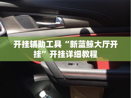 开挂辅助工具“新蓝鲸大厅开挂”开挂详细教程