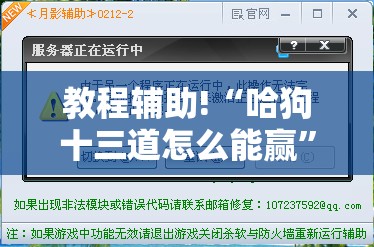 教程辅助!“哈狗十三道怎么能赢”详细外挂透视辅助软件教程