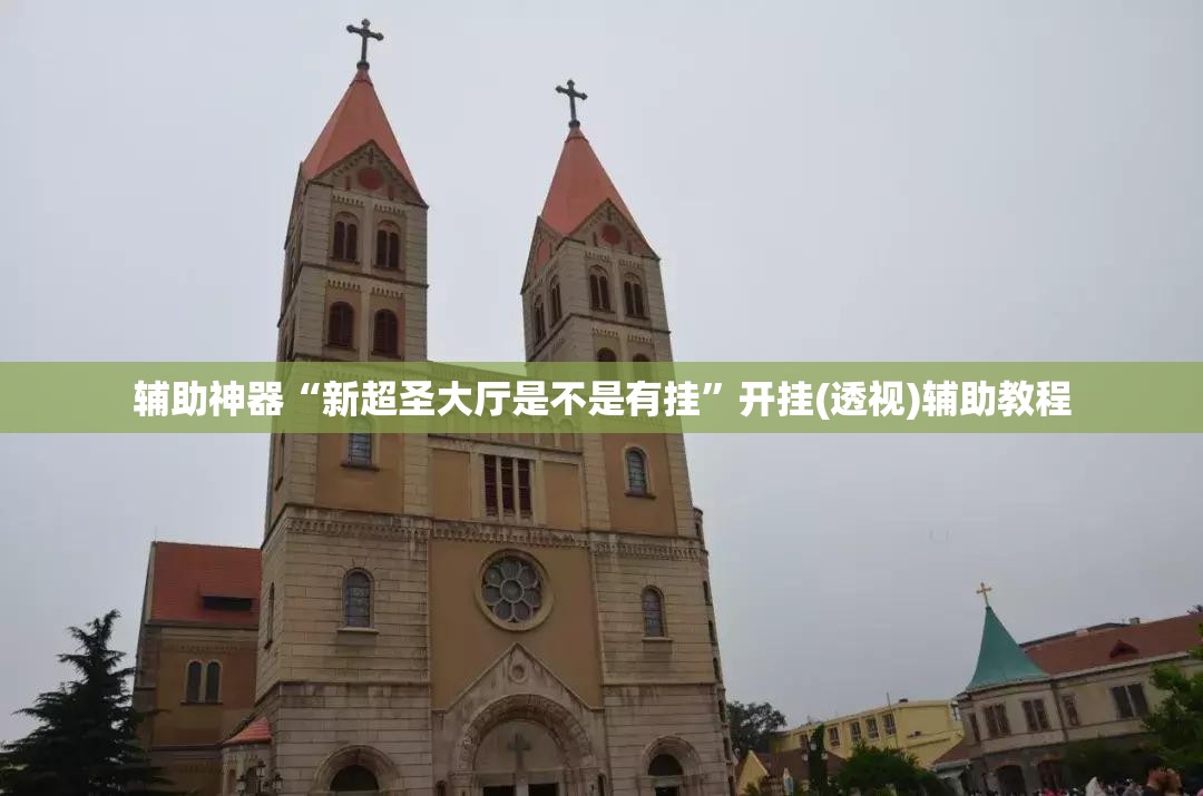 辅助神器“新超圣大厅是不是有挂”开挂(透视)辅助教程