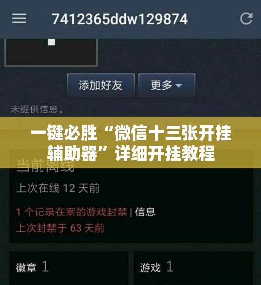 一键必胜“微信十三张开挂辅助器	”详细开挂教程