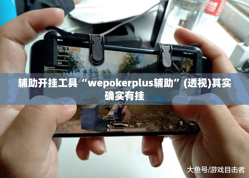 辅助开挂工具“wepokerplus辅助”(透视)其实确实有挂