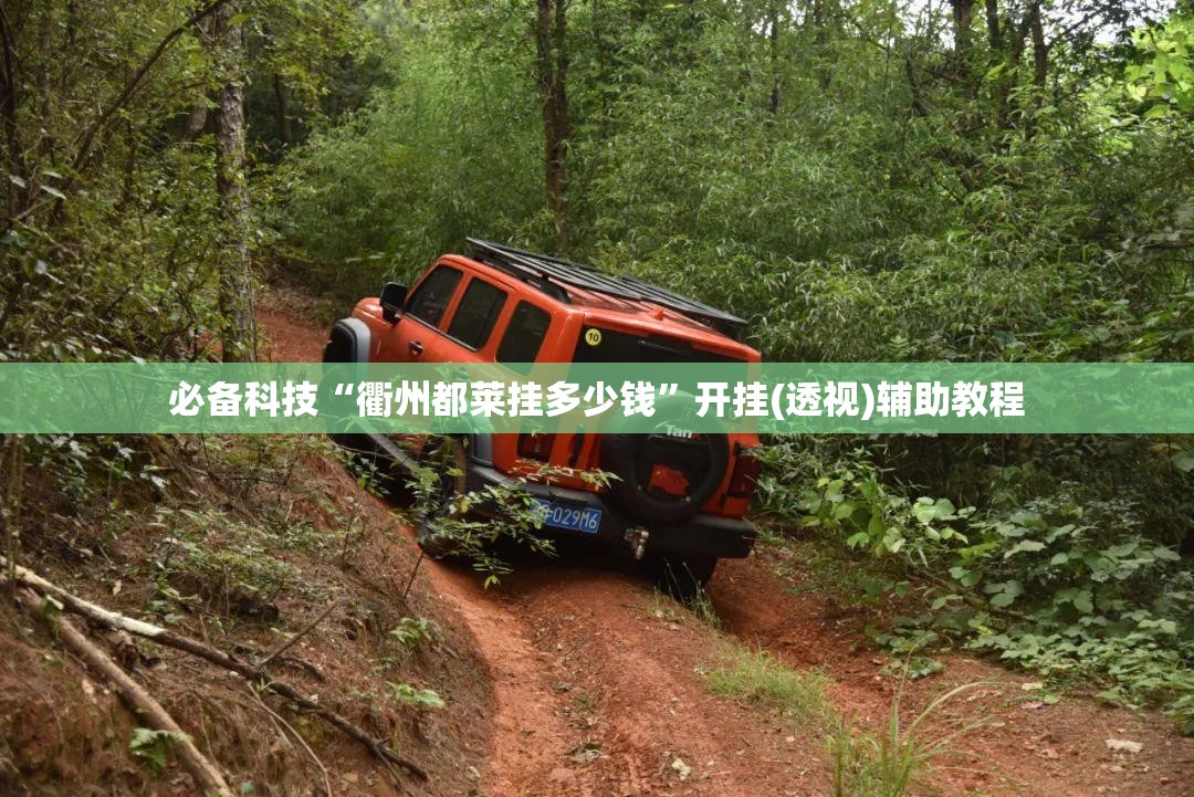 必备科技“衢州都莱挂多少钱”开挂(透视)辅助教程