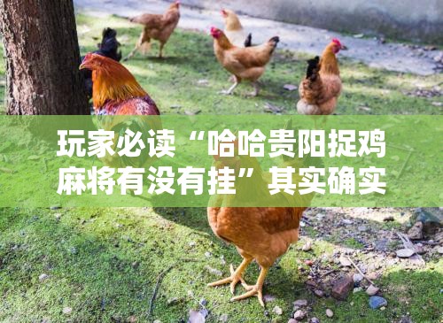 玩家必读“哈哈贵阳捉鸡麻将有没有挂	”其实确实有挂