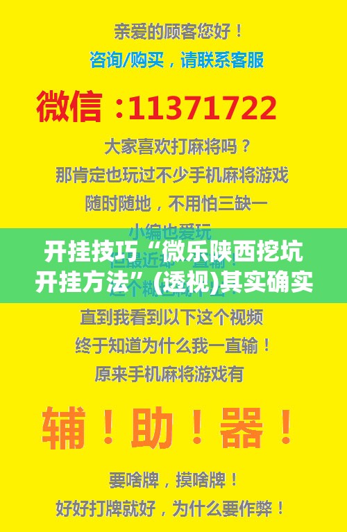 开挂技巧“微乐陕西挖坑开挂方法”(透视)其实确实有挂