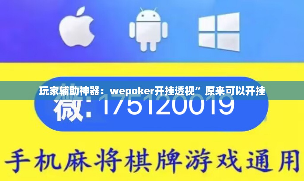 玩家辅助神器：wepoker开挂透视”原来可以开挂