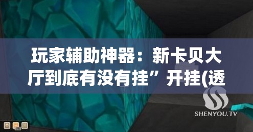 玩家辅助神器：新卡贝大厅到底有没有挂	”开挂(透视)辅助教程