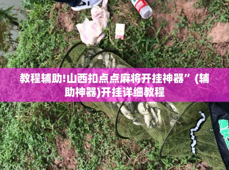 教程辅助!山西扣点点麻将开挂神器”(辅助神器)开挂详细教程